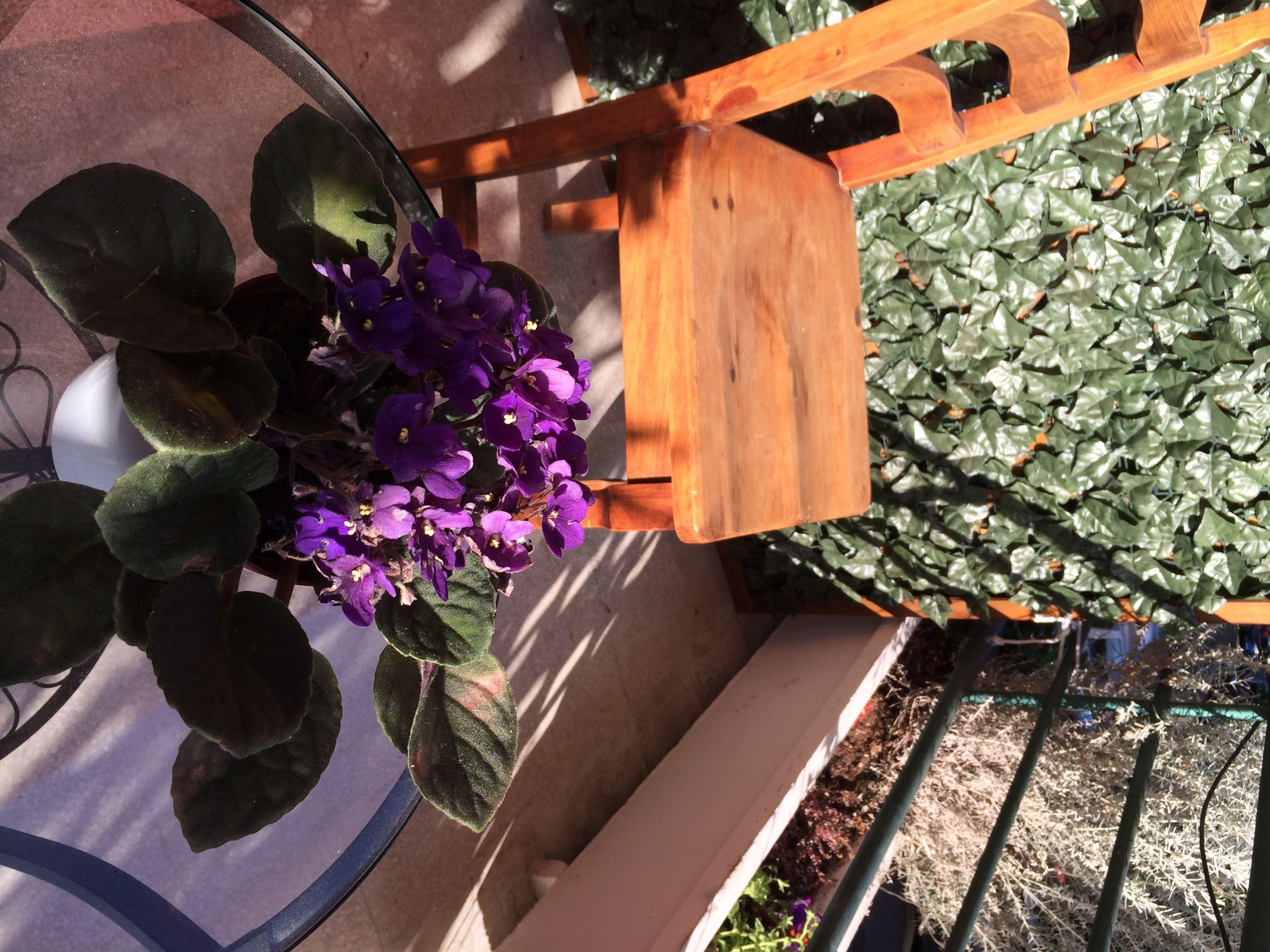 Shelisa B&B — Fotos 1
